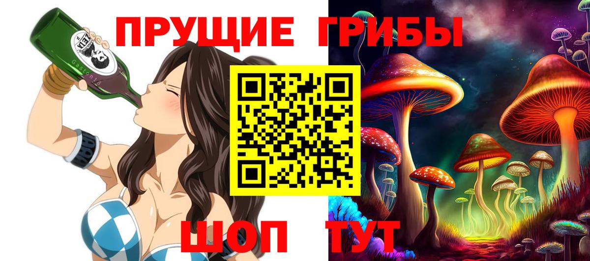 Солнечногорск  Галлюциногенные грибы Psilocybine cubensis  Галлюциногенные грибы мухоморы  Вход с VPN 